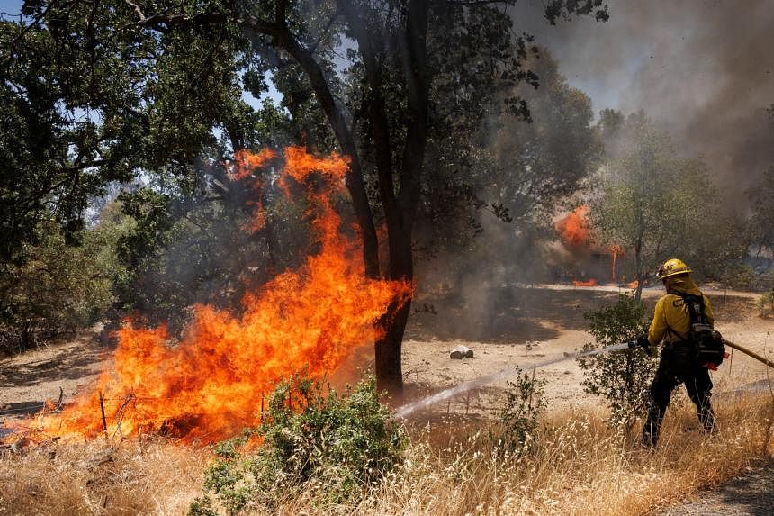 Featured Post Image - Kebakaran Hutan California Berkobar Saat AS Diliputi Gelombang Panas